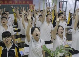 娱乐吃瓜君全球高考,揭秘娱乐界的“吃瓜”盛宴