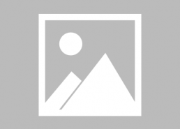 微信的吃瓜表情,揭秘吃瓜表情背后的网络文化现象