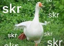 网上流行的吃瓜是什么意思