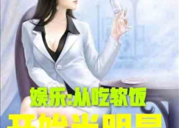 吃瓜娱乐太太是谁呀小说,揭开小说中的神秘面纱